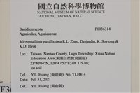 登錄號:F0036314藏品圖，第2張