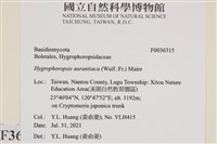 登錄號:F0036315藏品圖，第2張