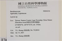 登錄號:F0036316藏品圖，第2張