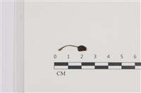 登錄號:F0036316藏品圖，第1張