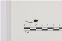 登錄號:F0036316藏品圖，第3張