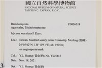 登錄號:F0036318藏品圖，第2張