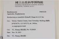 登錄號:F0036320藏品圖，第2張