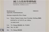 登錄號:F0036321藏品圖，第2張