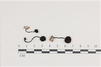 登錄號:F0036321藏品圖，第1張