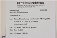 登錄號:F0036322藏品圖，第2張
