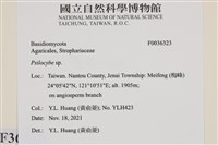 登錄號:F0036323藏品圖，第2張