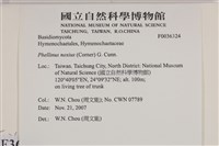 有害木層孔菌藏品圖，第2張