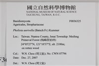 登錄號:F0036325藏品圖，第2張