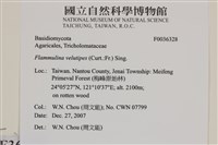 登錄號:F0036328藏品圖，第2張