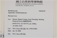 登錄號:F0036329藏品圖，第2張