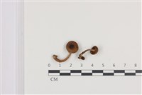 登錄號:F0036329藏品圖，第1張