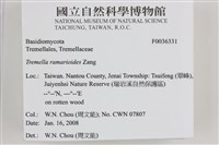 登錄號:F0036331藏品圖，第2張