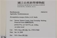 登錄號:F0036332藏品圖，第2張