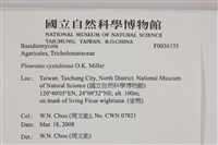 登錄號:F0036335藏品圖，第2張