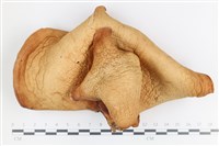登錄號:F0036335藏品圖，第1張