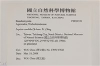 登錄號:F0036336藏品圖，第2張
