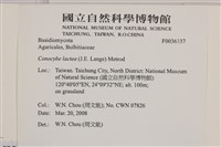 登錄號:F0036337藏品圖，第2張