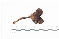 登錄號:F0036338藏品圖，第1張