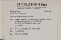 登錄號:F0036339藏品圖，第2張