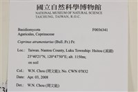 登錄號:F0036341藏品圖，第2張