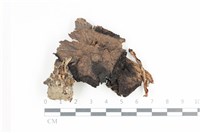 登錄號:F0036341藏品圖，第1張