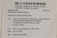 登錄號:F0036342藏品圖，第2張