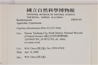 登錄號:F0036343藏品圖，第2張