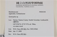 登錄號:F0036344藏品圖，第2張