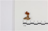 登錄號:F0036344藏品圖，第1張