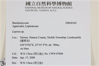 登錄號:F0036345藏品圖，第2張