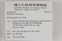 登錄號:F0036347藏品圖，第2張
