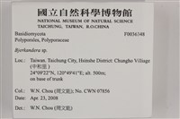 登錄號:F0036348藏品圖，第2張