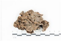 登錄號:F0036348藏品圖，第1張