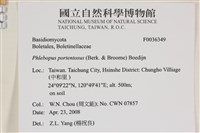 登錄號:F0036349藏品圖，第2張
