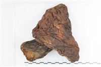 登錄號:F0036349藏品圖，第1張