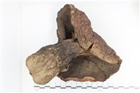 登錄號:F0036349藏品圖，第3張