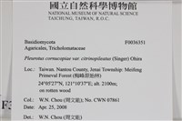 登錄號:F0036351藏品圖，第2張