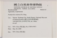 登錄號:F0036355藏品圖，第2張