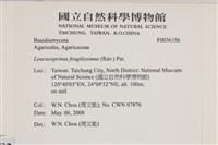 登錄號:F0036356藏品圖，第2張