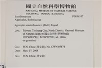 登錄號:F0036357藏品圖，第2張