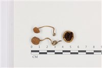 登錄號:F0036357藏品圖，第1張