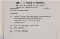 登錄號:F0036358藏品圖，第2張