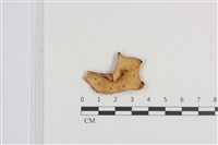 登錄號:F0036358藏品圖，第1張