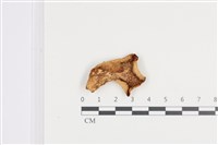 登錄號:F0036358藏品圖，第3張