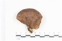 登錄號:F0036359藏品圖，第1張