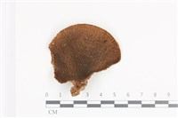 登錄號:F0036359藏品圖，第3張