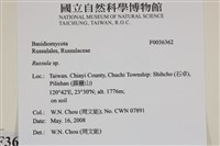 紅菇屬藏品圖，第2張