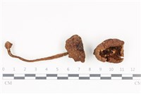 登錄號:F0036363藏品圖，第1張