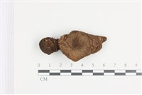 登錄號:F0036364藏品圖，第1張